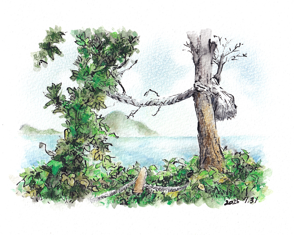 織幡神社（沖ノ島礼拝所）