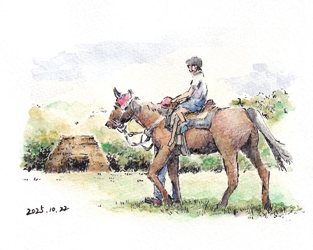 げんきフェスタ